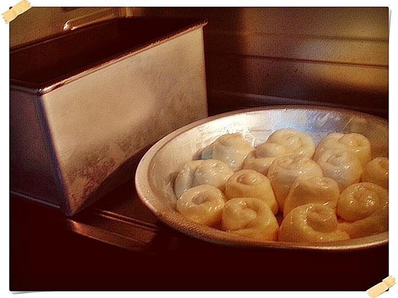 �������̻�԰���������