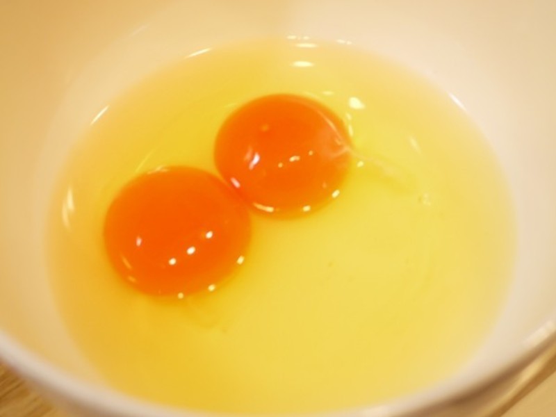 ˿�������ѵ�����