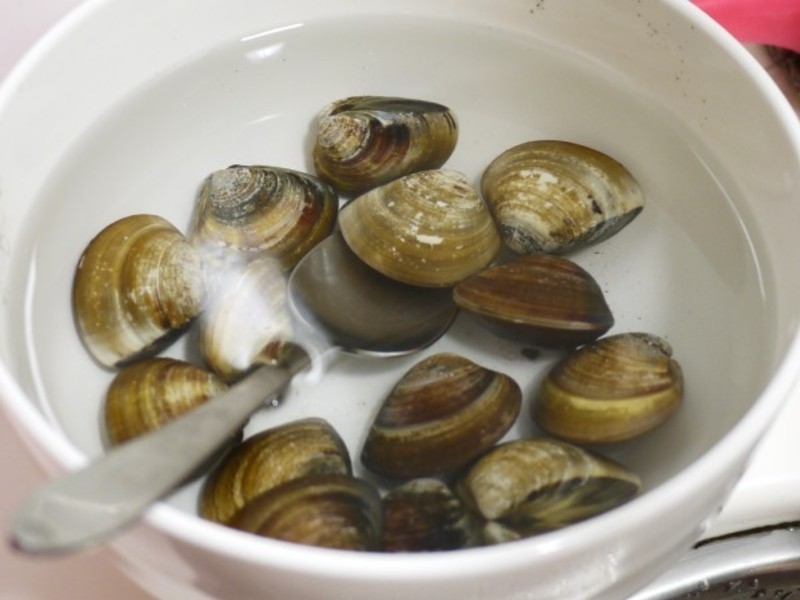 ˿�������ѵ�����