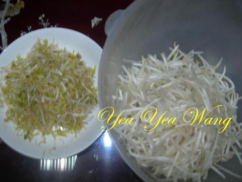 ��ѿ������������