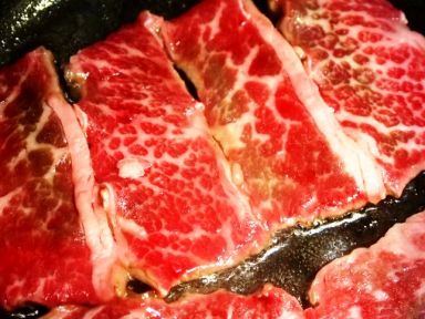 ����ѩ��ţ�⳴ѩ��������