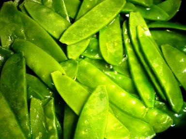 ����ѩ��ţ�⳴ѩ��������