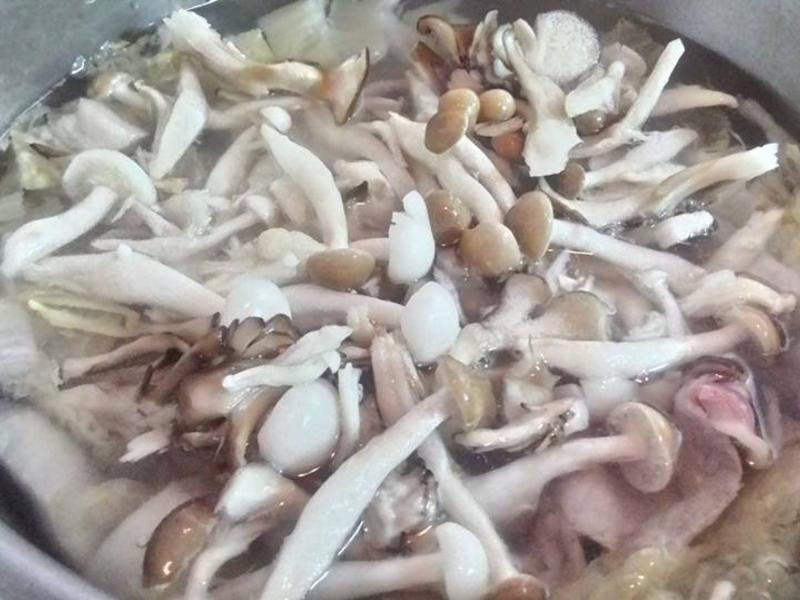 ��ײ˹�����������