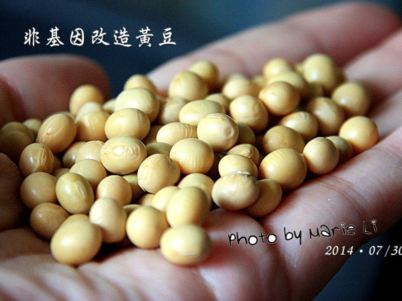 �������������Ũ����(�ǻ���)����������