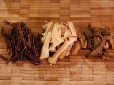 �㹽��ľ��Ŵ�׷�������