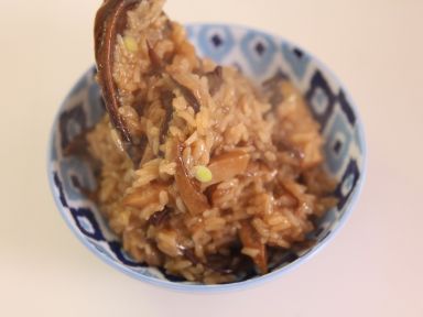 �㹽��ľ��Ŵ�׷�������