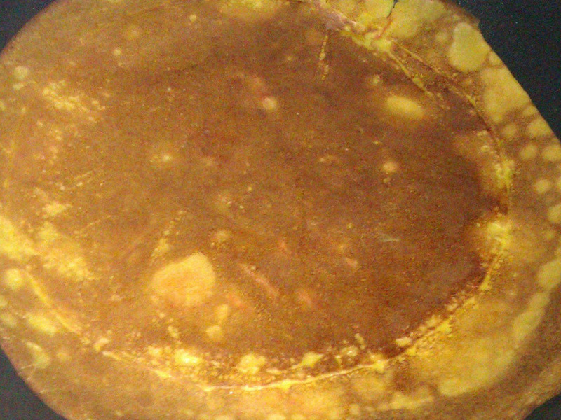 ΢���Ϲ��ɱ�������