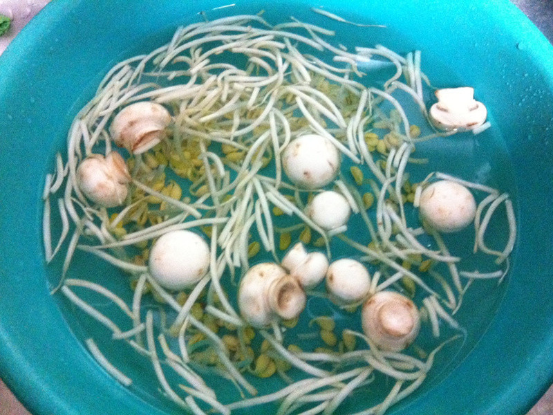 ������ݲ˹�������