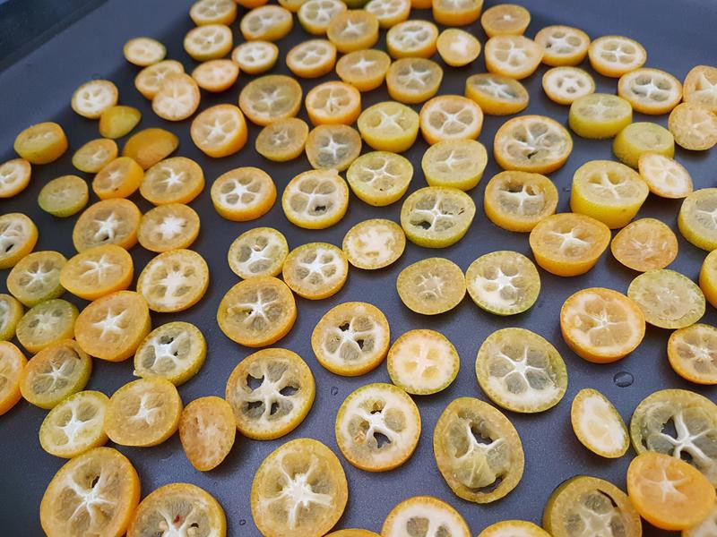 ���ƽ�۹��ɵ�����