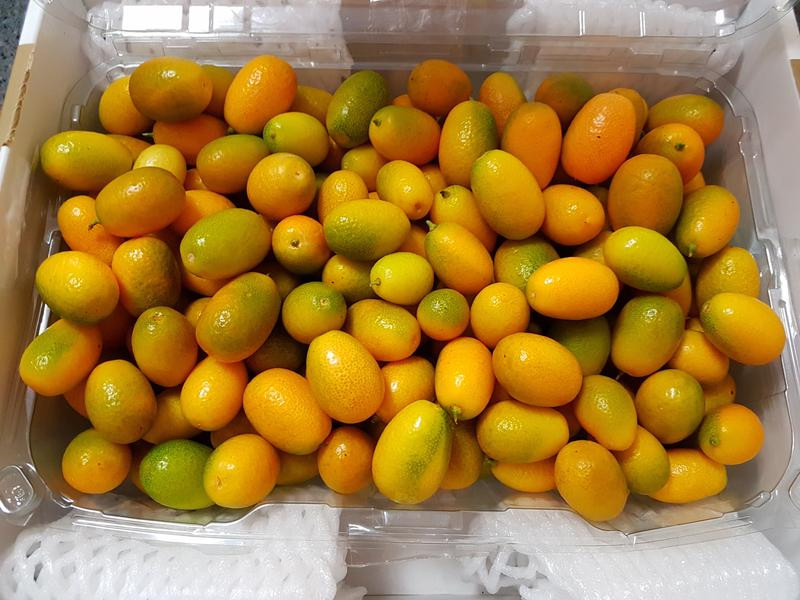 ���ƽ�۹��ɵ�����