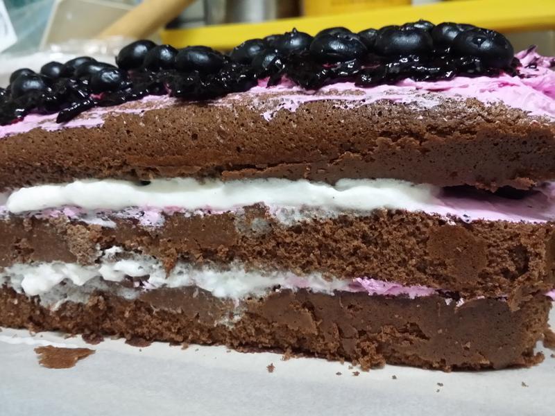 ˫ݮ�������ɿ����ݷ絰�������