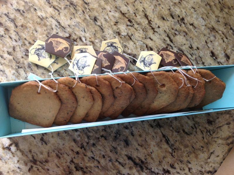 �������������?!!!������