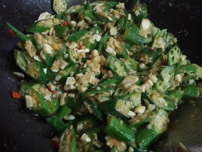 ��ɯ���������