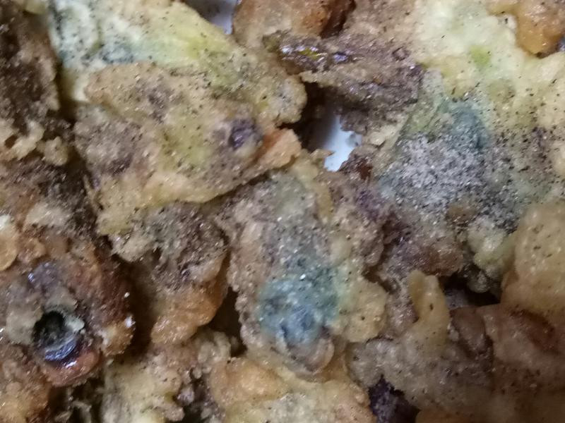 ��ը������������