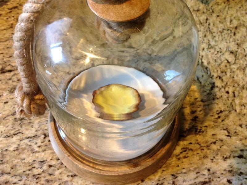 Egg Tart-̨ʽ����?!!!������