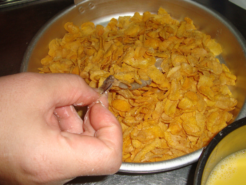 ���״�ƬըϺ������