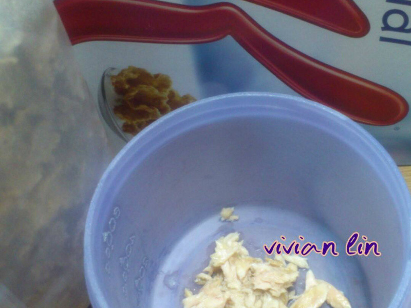 ����������������ʳ����ʳ��Ƭˮ��ɳ��������