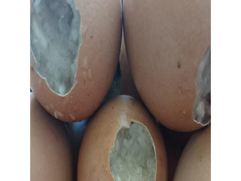 ���缦���յ�����