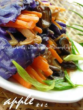 �����ϸ���˫˿��������