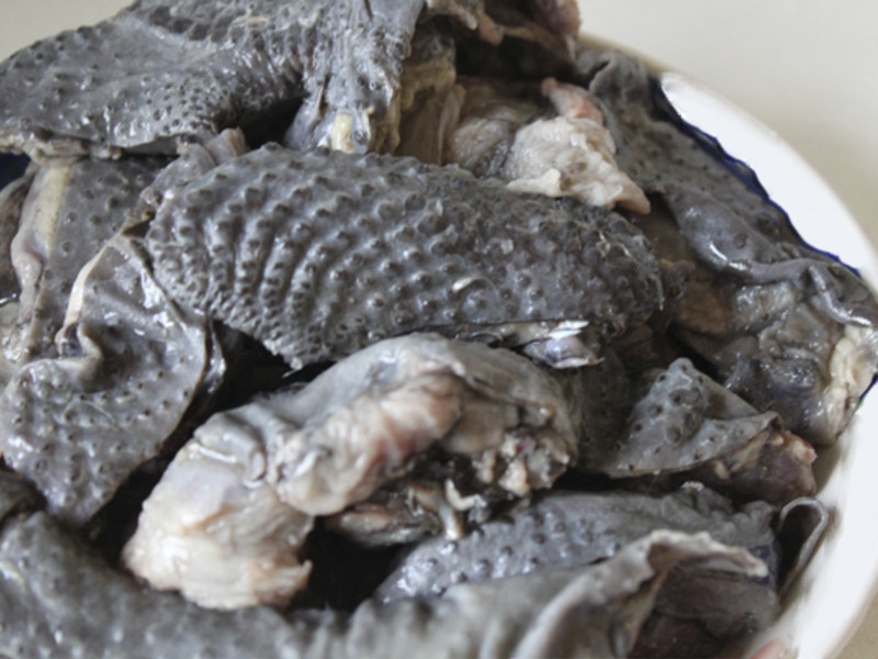 �˲��ڹǼ�������