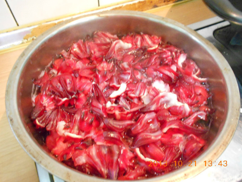 �����۽�������