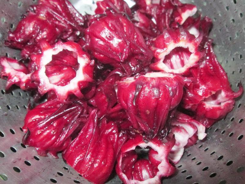 ?????.��ͨͨ��?�����۽�?������