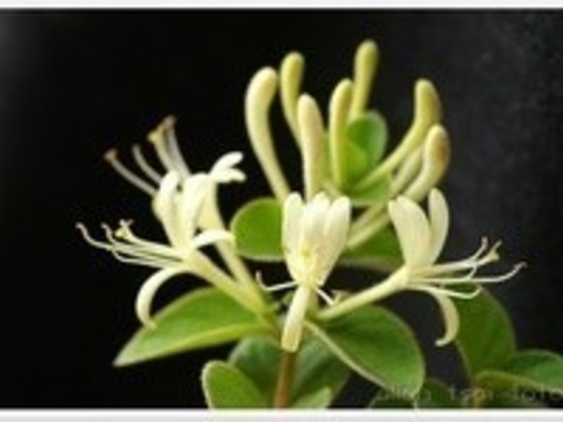 �������ݲ������