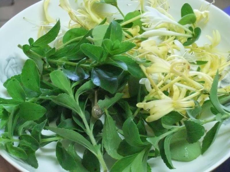 �������ݲ������