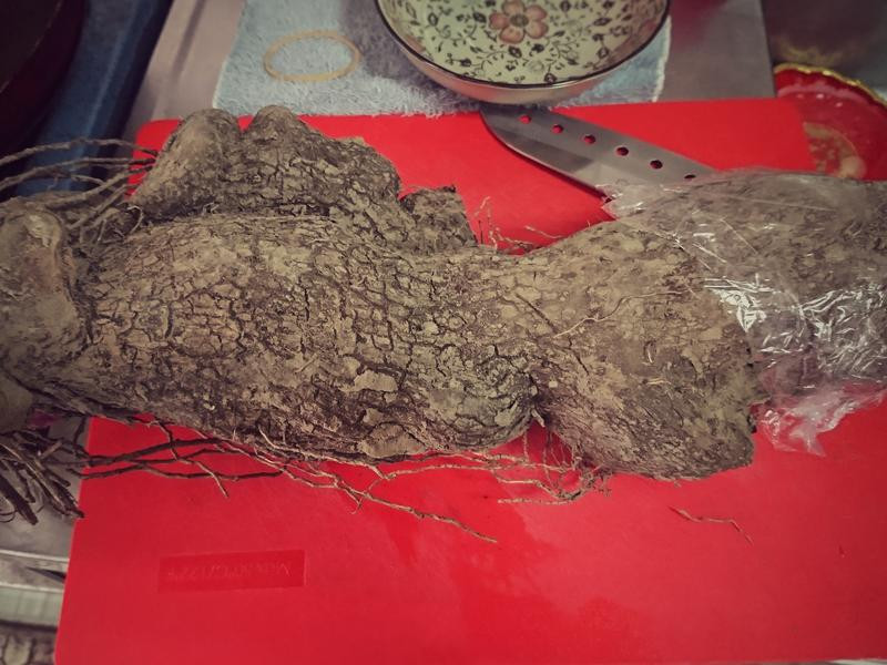 ��ɽҩ��Բ�춹��������