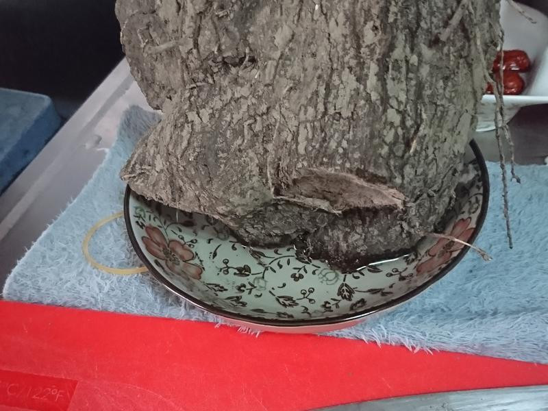 ��ɽҩ��Բ�춹��������