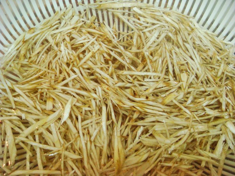 ����ţ�������