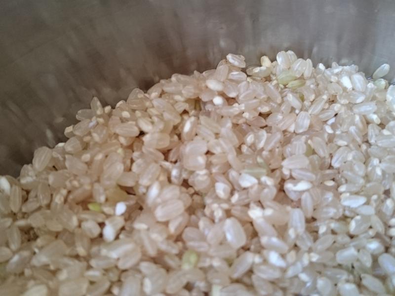 ��ɫ�뵾�������㴶��������