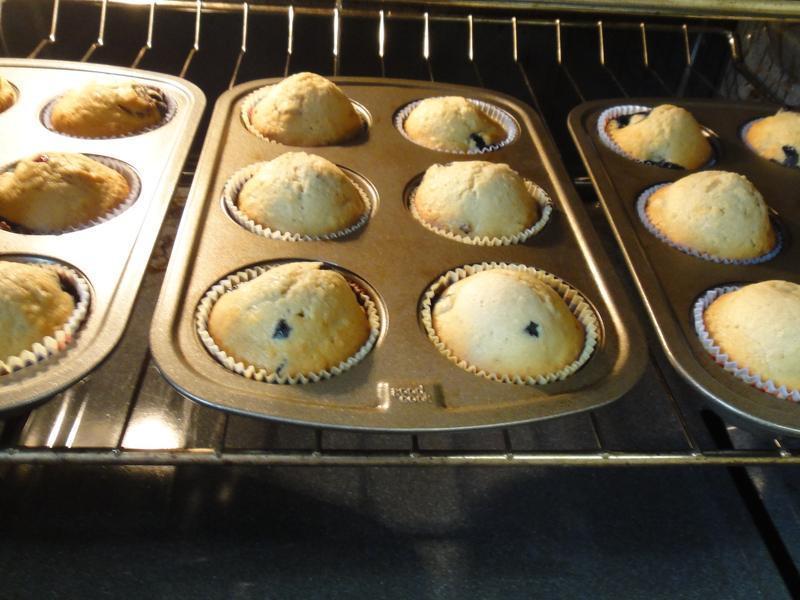 С��ݮ����Խݮ���? !!!������