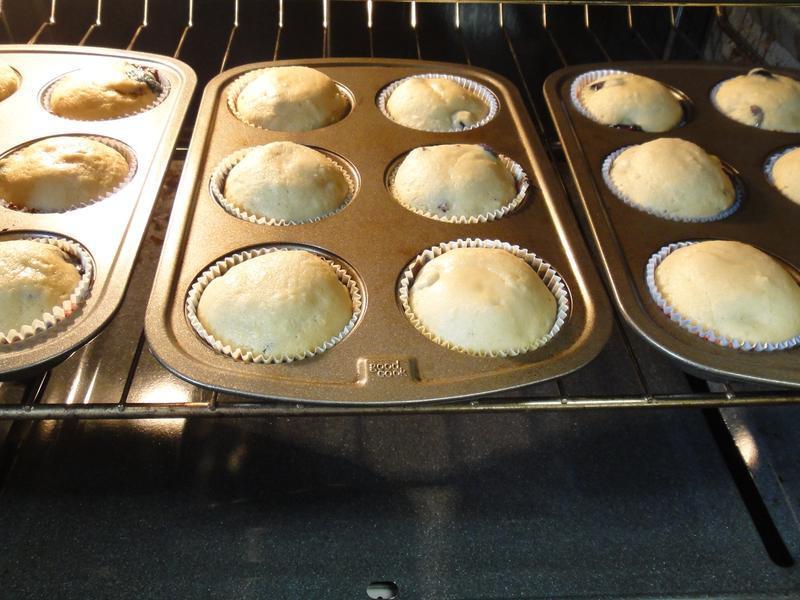 С��ݮ����Խݮ���? !!!������