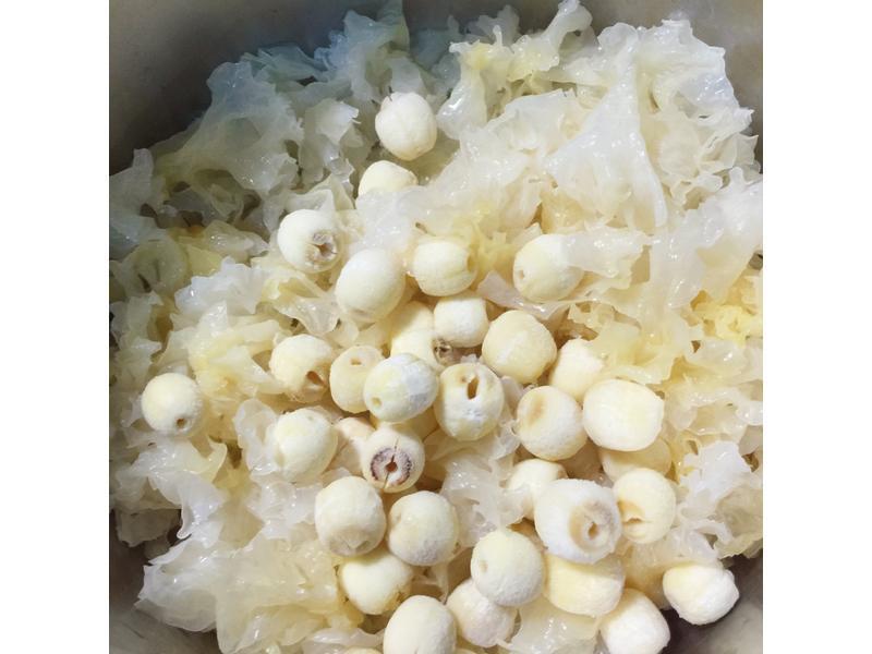 ���~~~���۰�ľ��������������