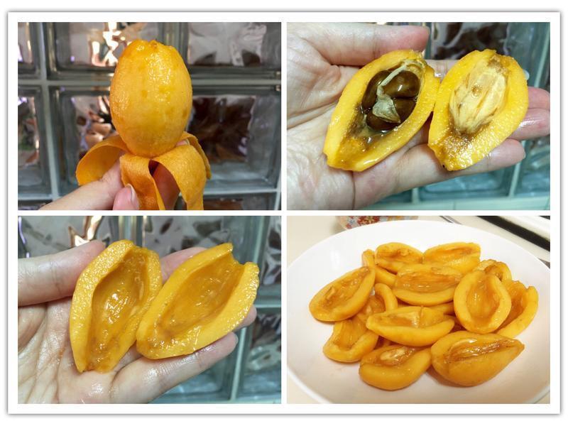 ���������������������������������ˡ�������