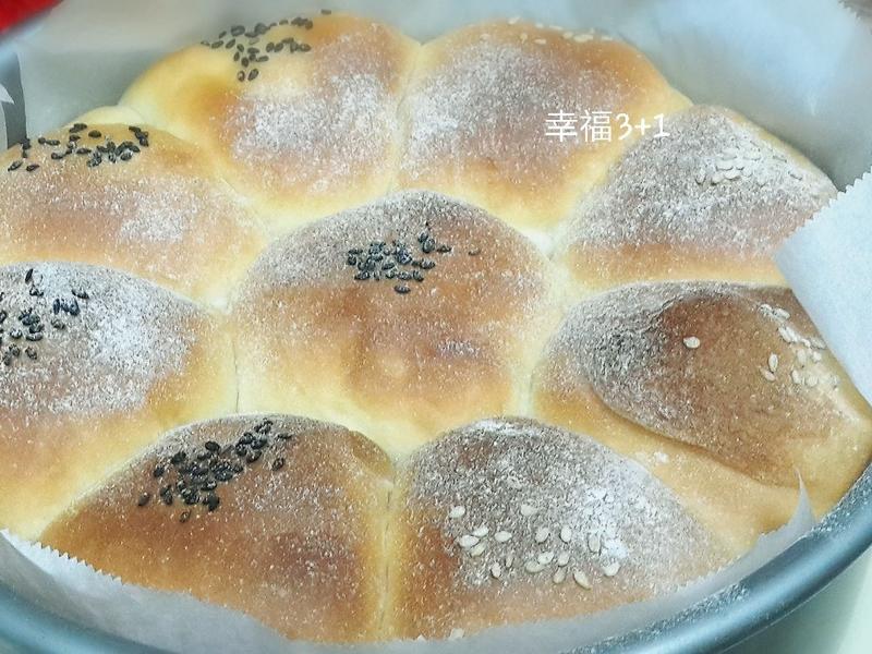 �Ͱ�-���ζ ?(105T �����)������