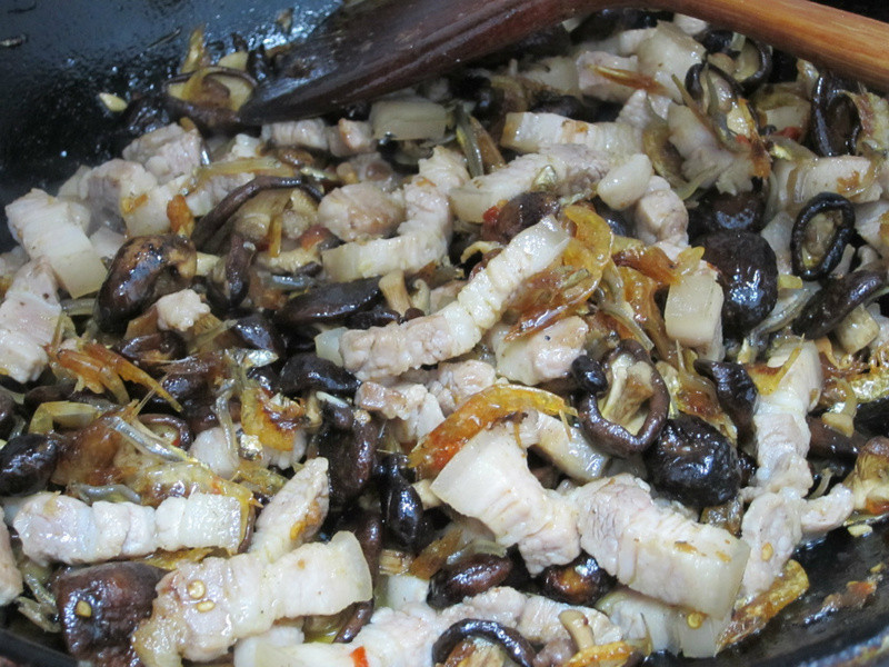 ����Ƥ&����ǽ������