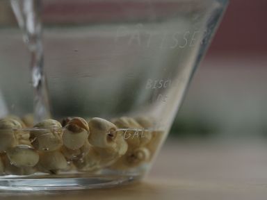 ���������̶���������