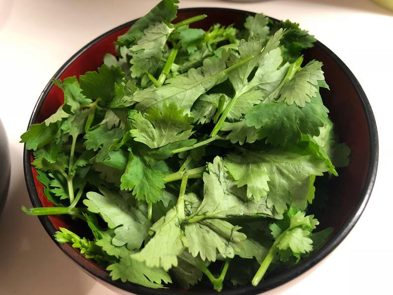 ����߷ɳ���������