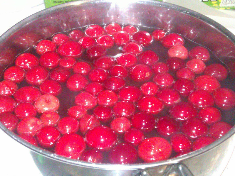 ��Խݮ����������