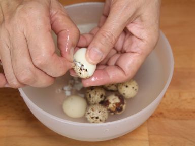 ���Ͻ�˸뵰��������