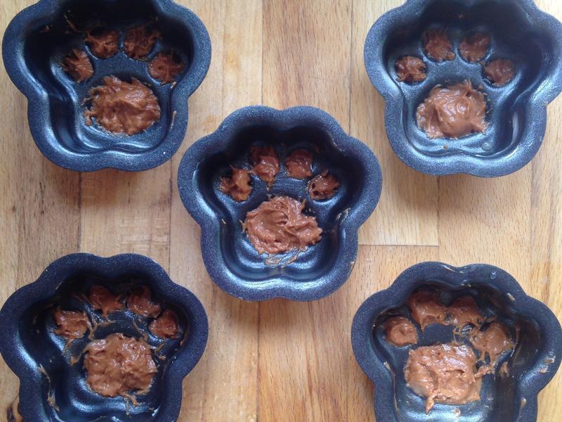 �ɰ�è���ɿ���˫ɫС���������