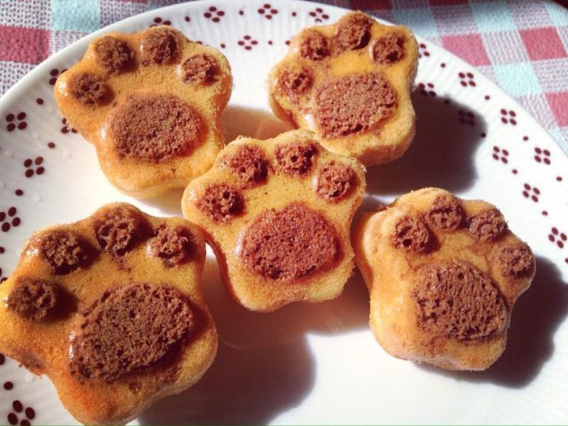 �ɰ�è���ɿ���˫ɫС���������