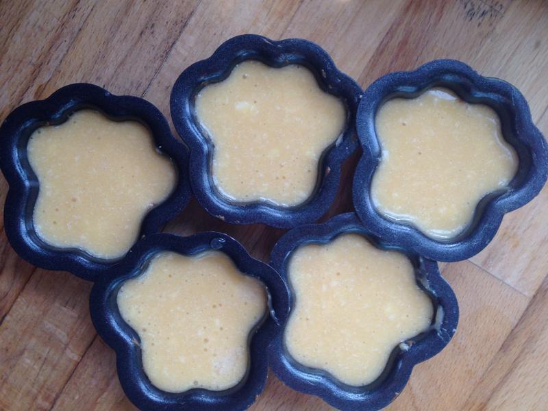 �ɰ�è���ɿ���˫ɫС���������