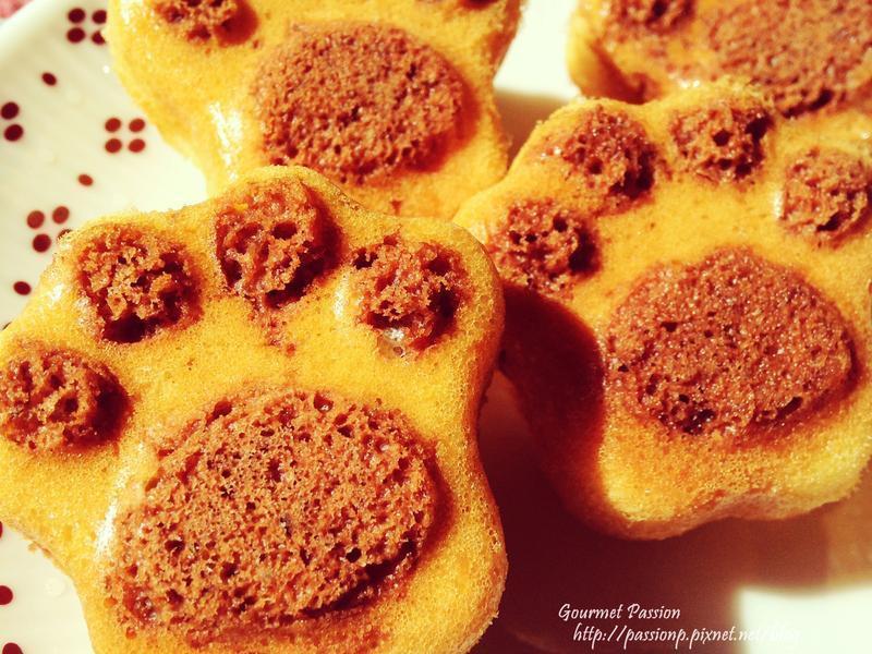 �ɰ�è���ɿ���˫ɫС���������