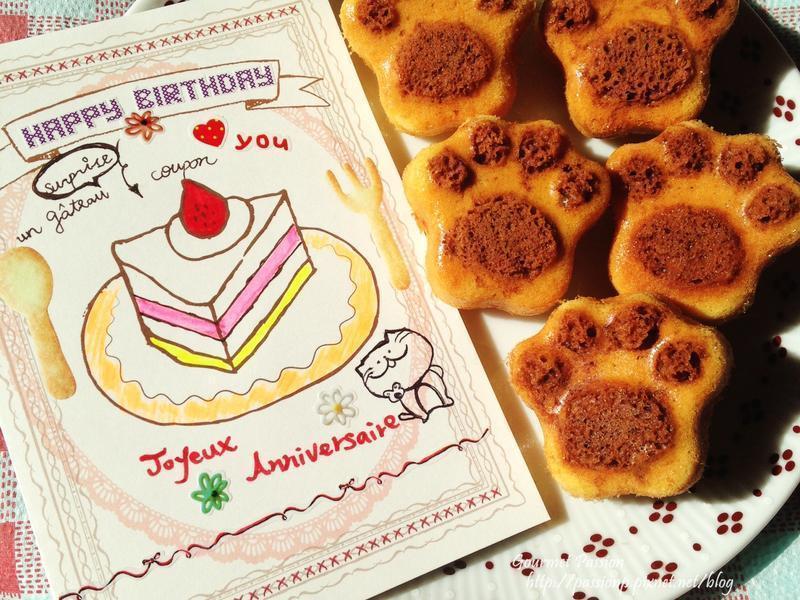 �ɰ�è���ɿ���˫ɫС���������