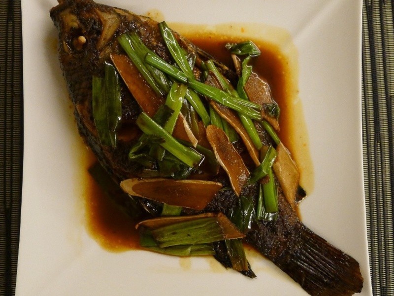 ���׺����������