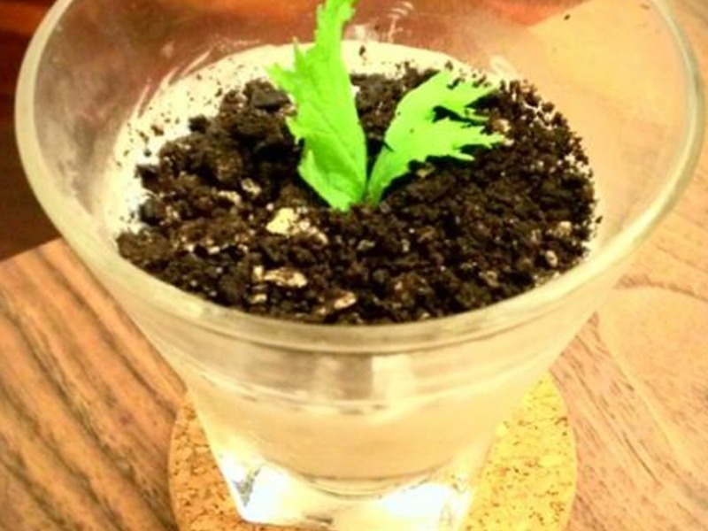 {����oreo}������