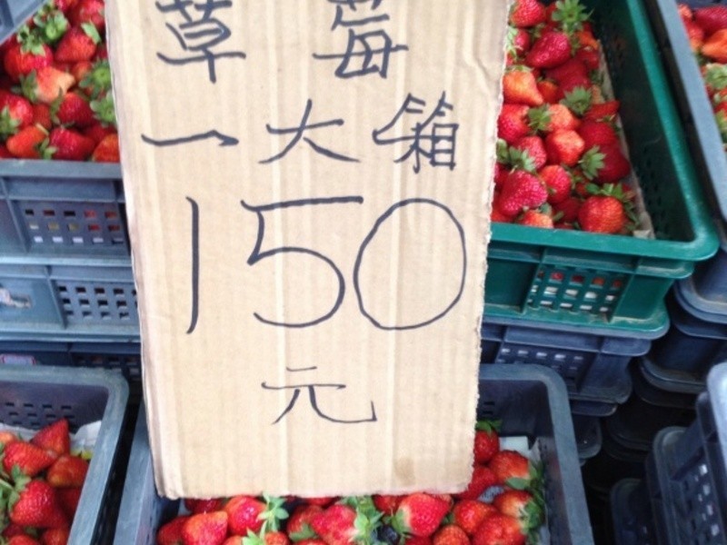 ������ݮ�������ݮ����������